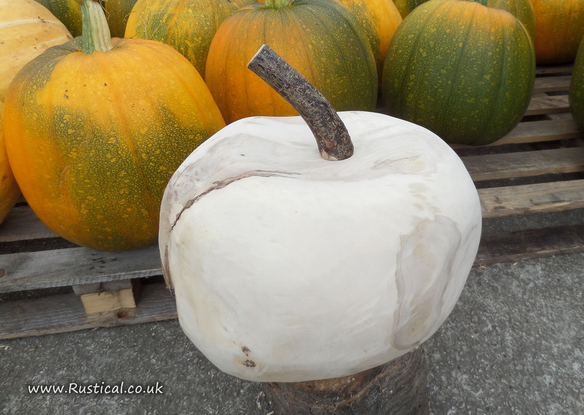 The roughed out Sycamore pumpkin together with a hazel stalk