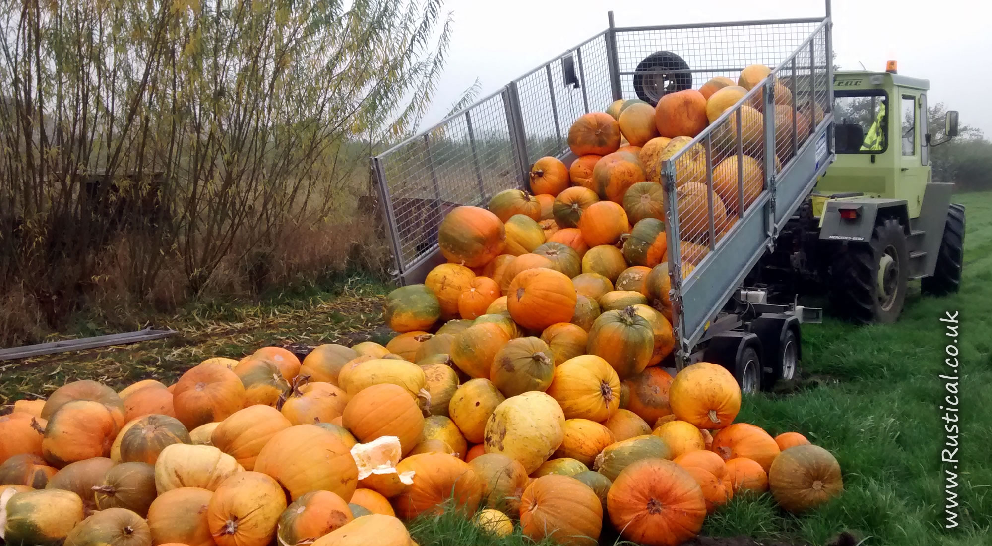 Tipping unsold pumpkins