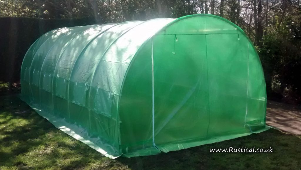 6m x 3m Polytunnel Sheeted