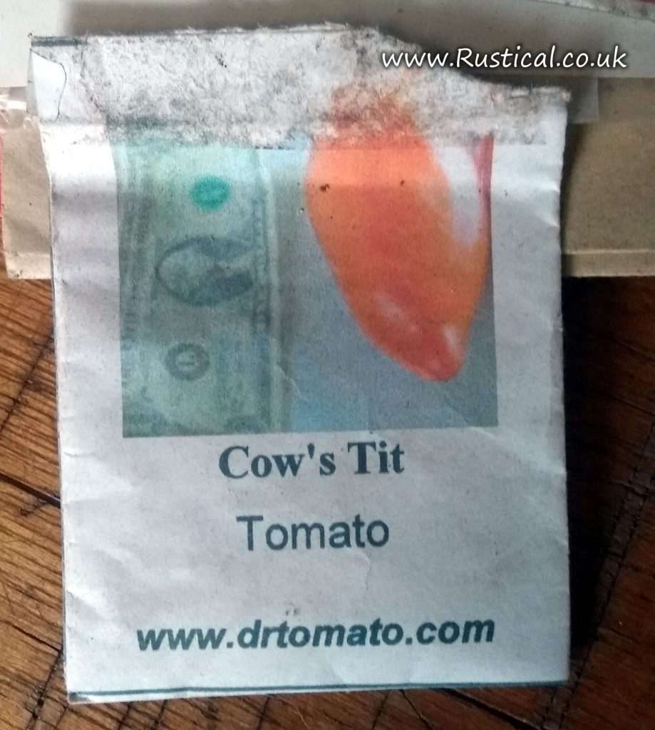 Cows Tit Tomato Seed Packet