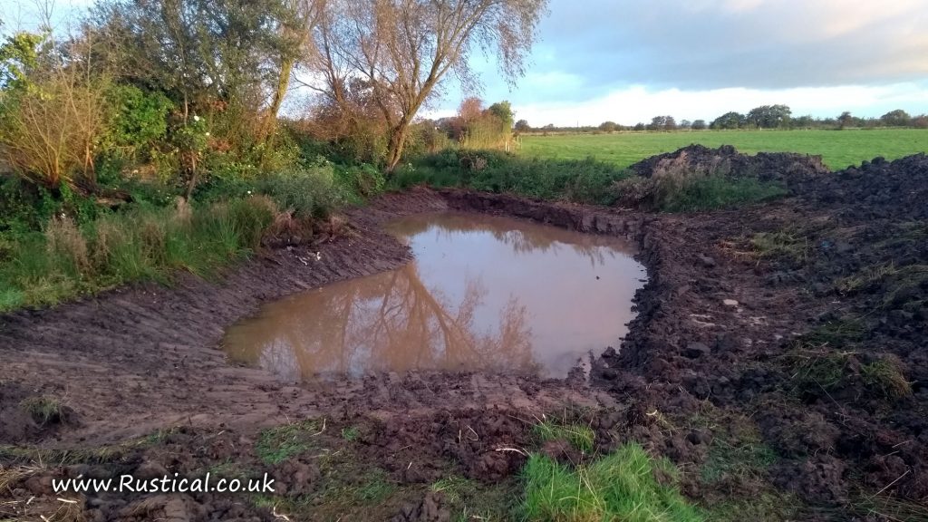 Grazing Pond restoration