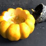 Hollowing out a small pumpkin for a table tea light