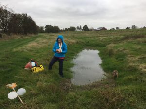 Pond Audit Autumn 2018